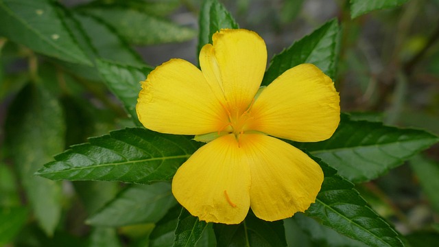 G6c9779619e9f1d02edcbbf320912cb57b8d2be99176704ed01e688104f8ee85866c6749416bbe447121abbbb7d6773bb2ad5a85593a60634b6819ab25e4b0eee 640