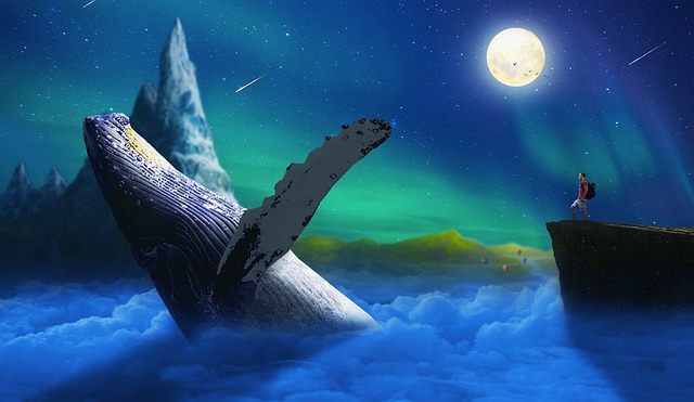 G6efa133a45894fe5e88b9e41aab33729a34e731d6797eec4d95559317262ee5c733c1cbd55baa64b41843e2037031797b1f2a0a5af1f1e595b328efd8a340384 640